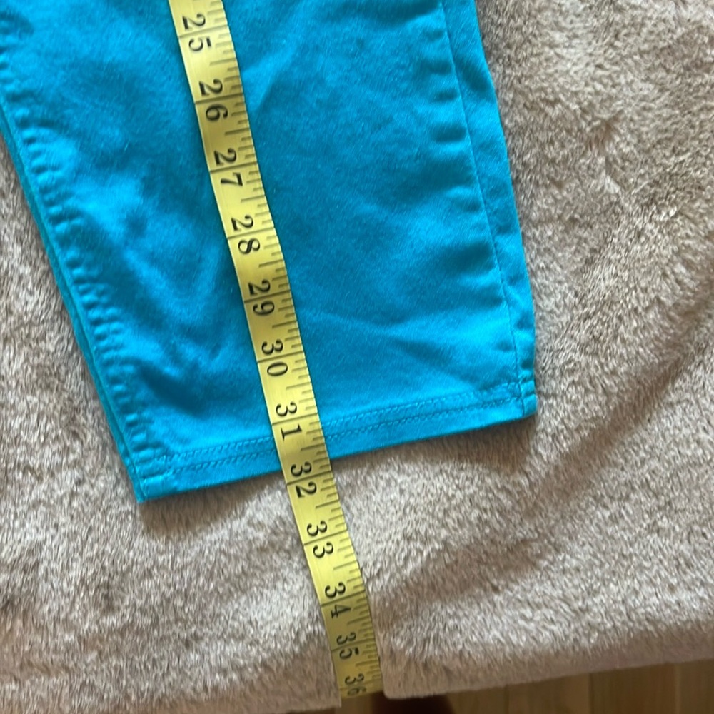 Nygard Vibrant Blue Ankle Skinny Pants - Size 14 - Picture 5 of 16